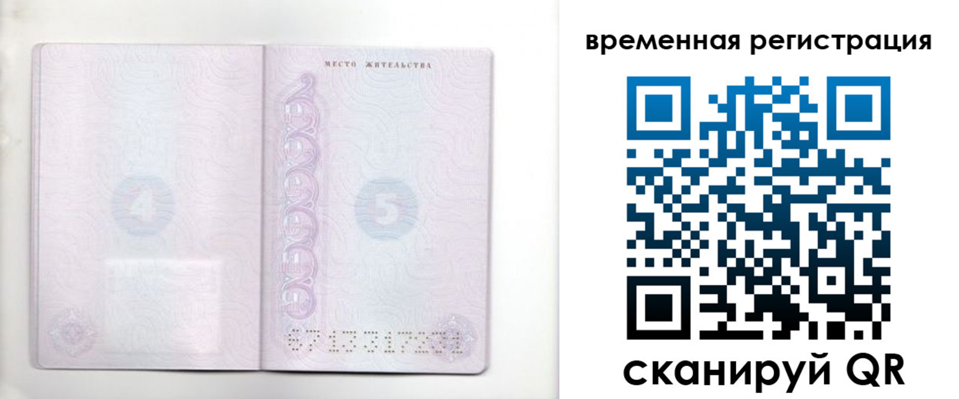 регистрация для дет. сада в Жукове